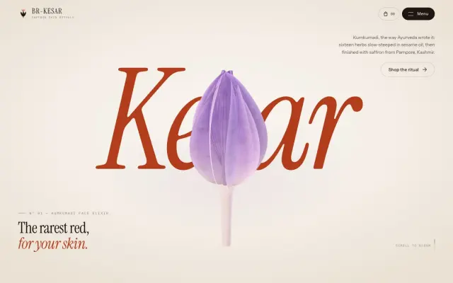 BR-KESAR — Flower to Carton, in Real-Time 3D design preview